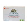 Triticum 3